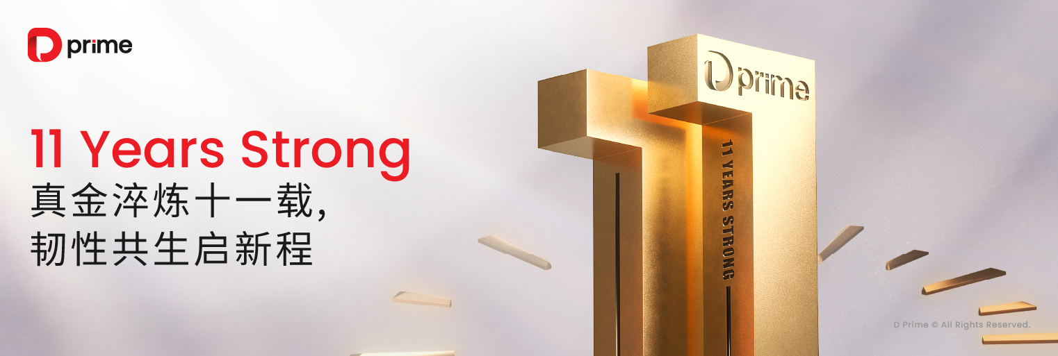 D Prime 十一周年丨真金淬炼十一载，韧性共生启新程