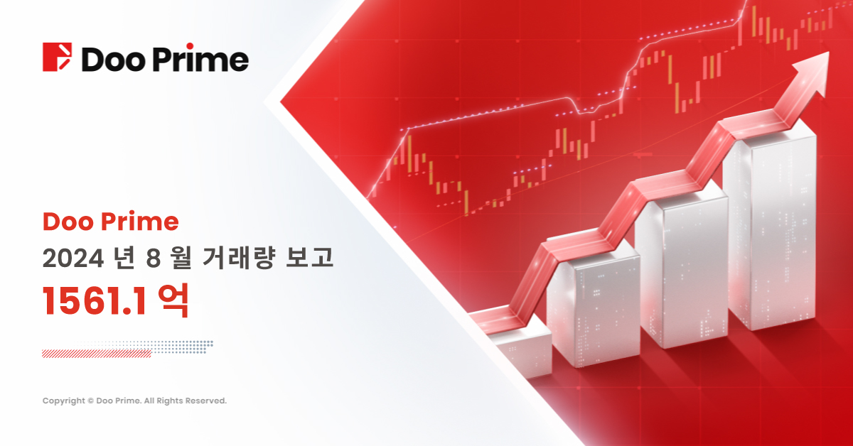 Doo Prime 2024년 8월 거래량 보고서