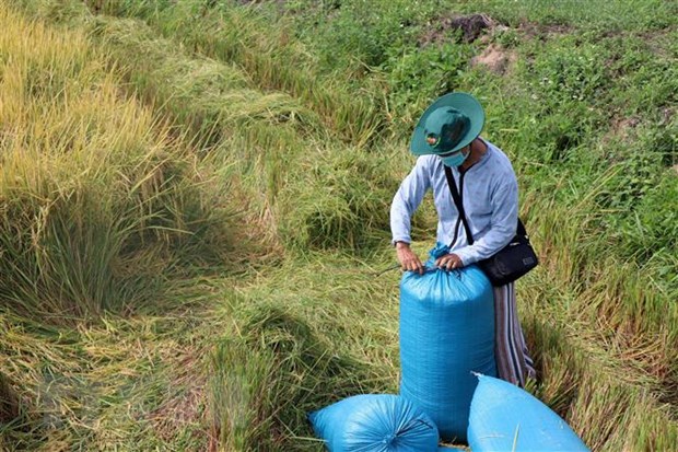 Tin mới nhất 09.05.22 4